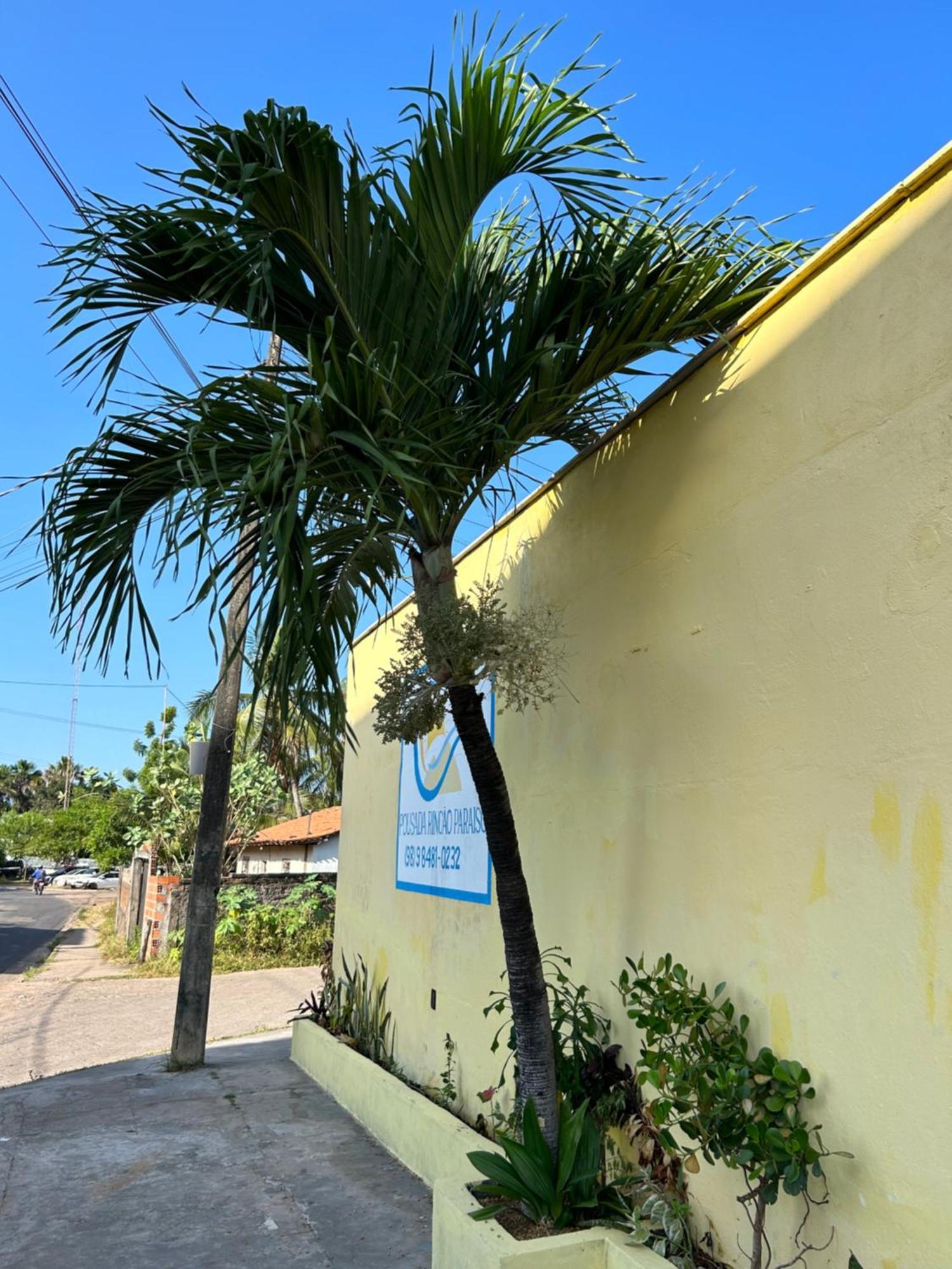 ברייריניאס Pousada Rincao Paraiso מראה חיצוני תמונה